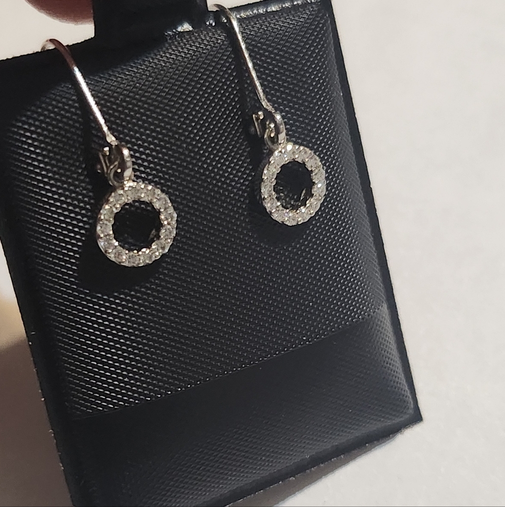 925 Silver Circle of Sparkle Earrings